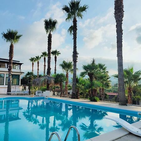 Palm House Bed and Breakfast Lamezia Terme Εξωτερικό φωτογραφία